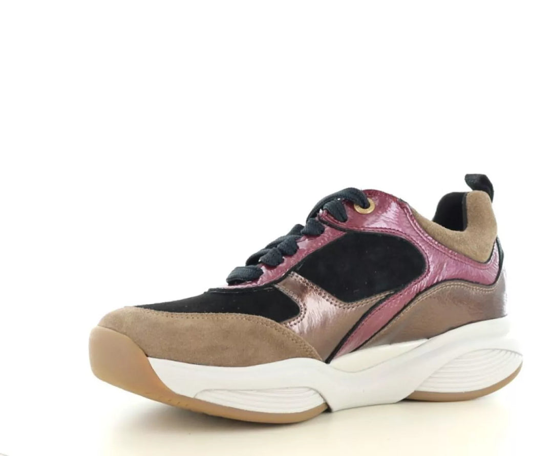 Xsensible Xsensible 32004.2 wijdte K