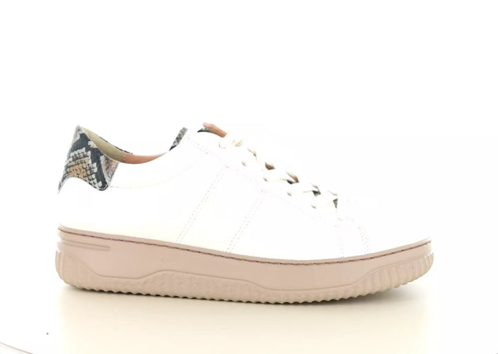 Hartjes Hartjes 162.1950 wijdte H