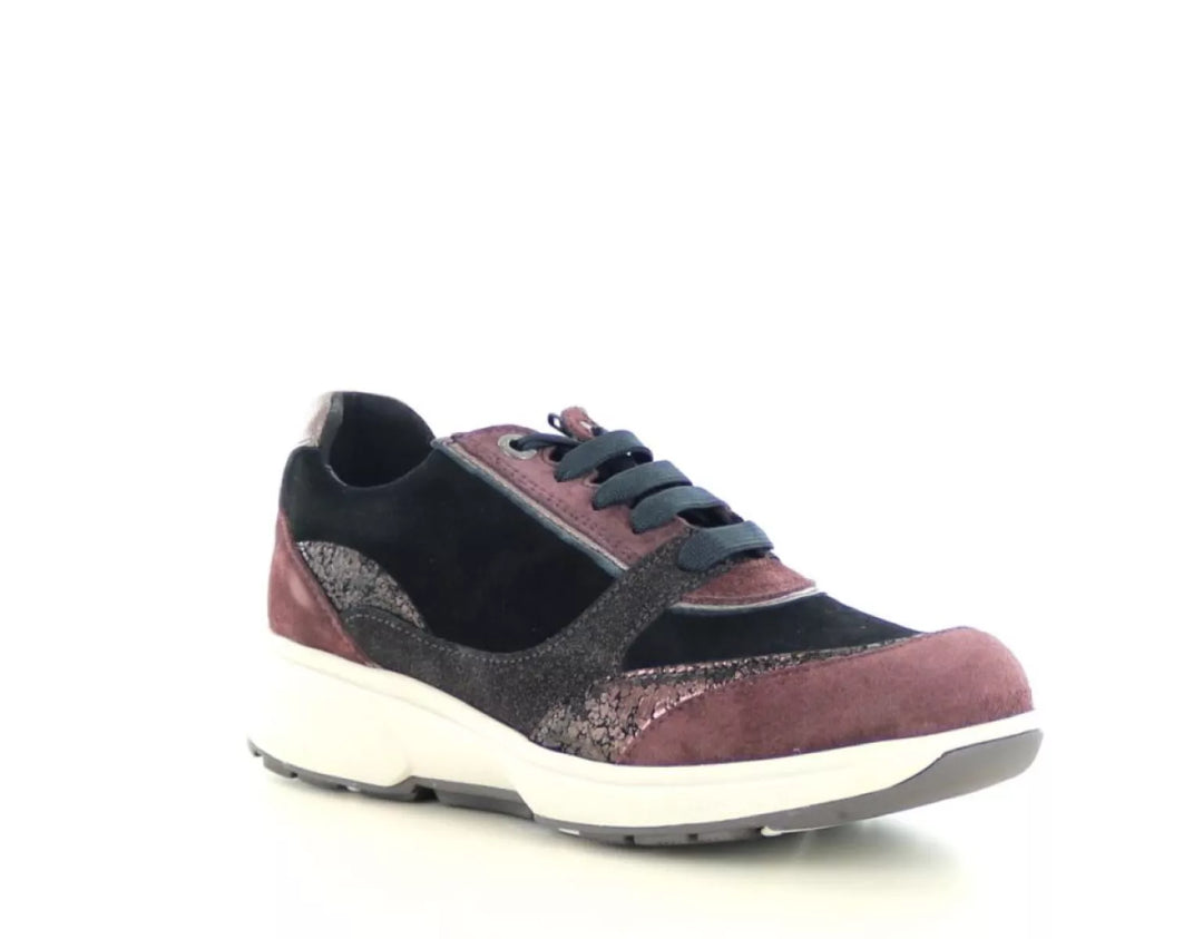 Xsensible Xsensible 30229.2 wijdte H