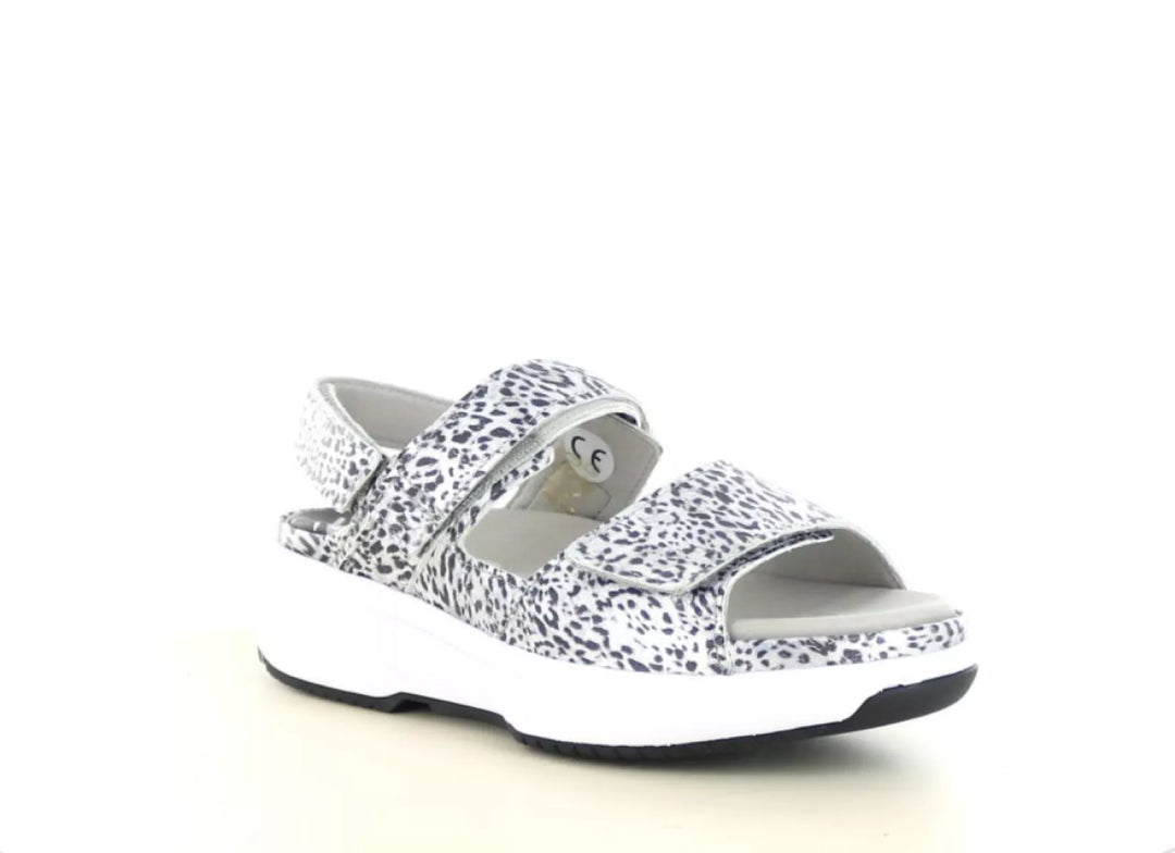 Xsensible Xsensible 30700.5 wijdte H