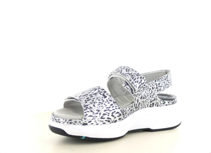 Xsensible Xsensible 30700.5 wijdte H