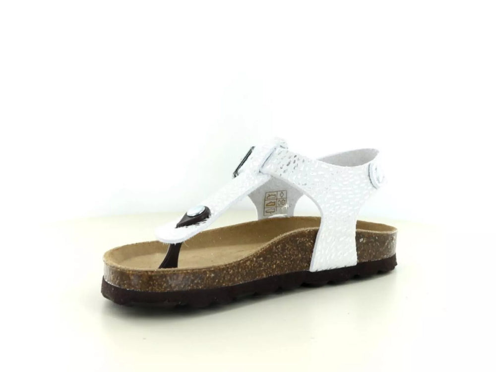 Kipling Kipling Pepita 1 490.96.012