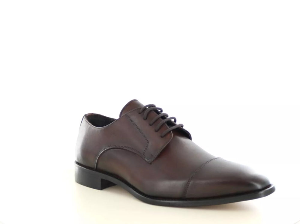 Molenaer Molenaer 214