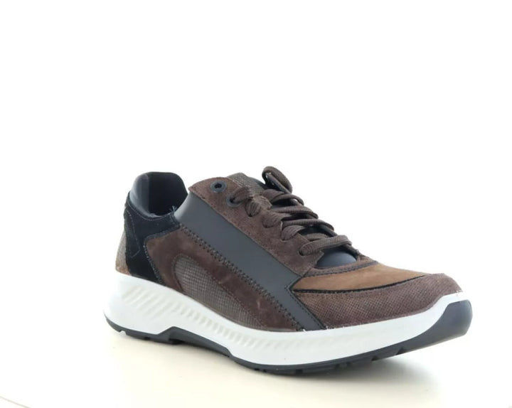 Xsensible Xsensible 34201.2 wijdte H