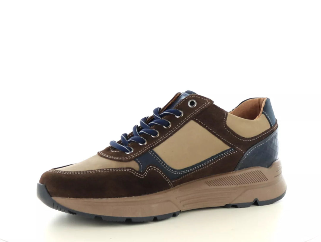 Australian Australian Connery wijdte H