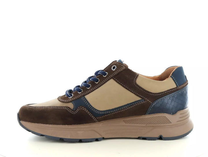 Australian Australian Connery wijdte H