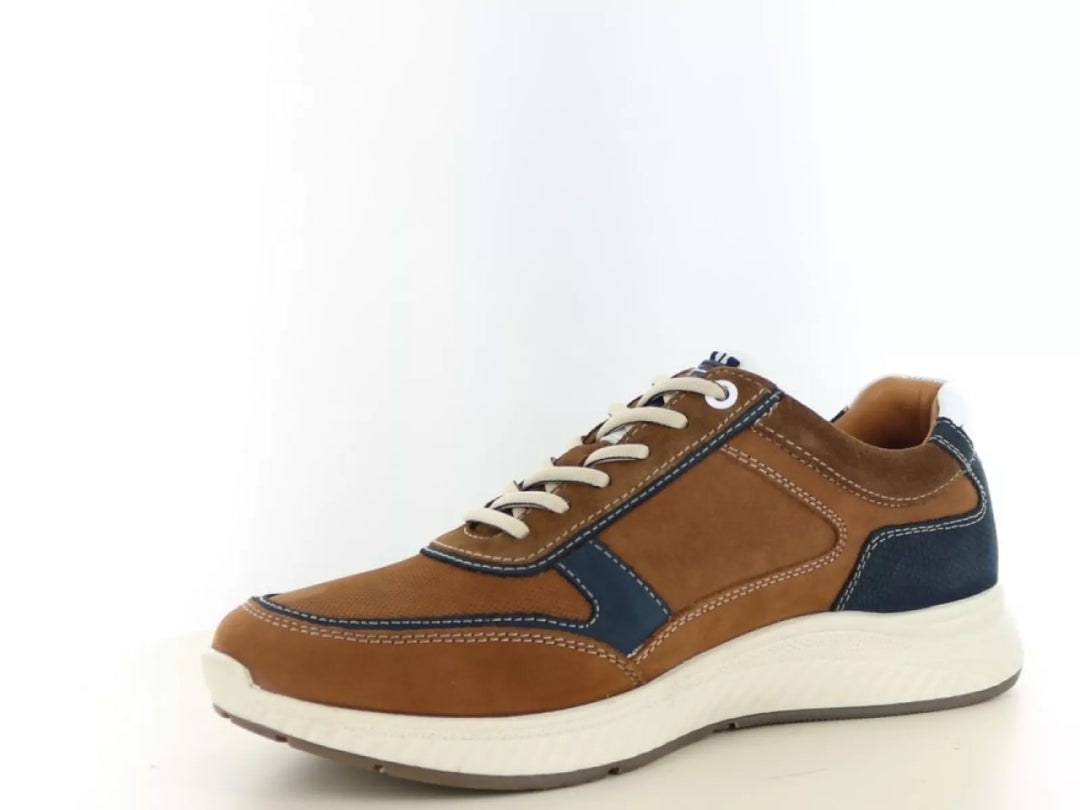 Australian Australian Maurizio wijdte G1/2