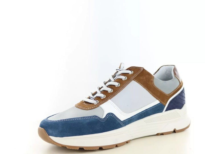 Australian Australian Connery wijdte H