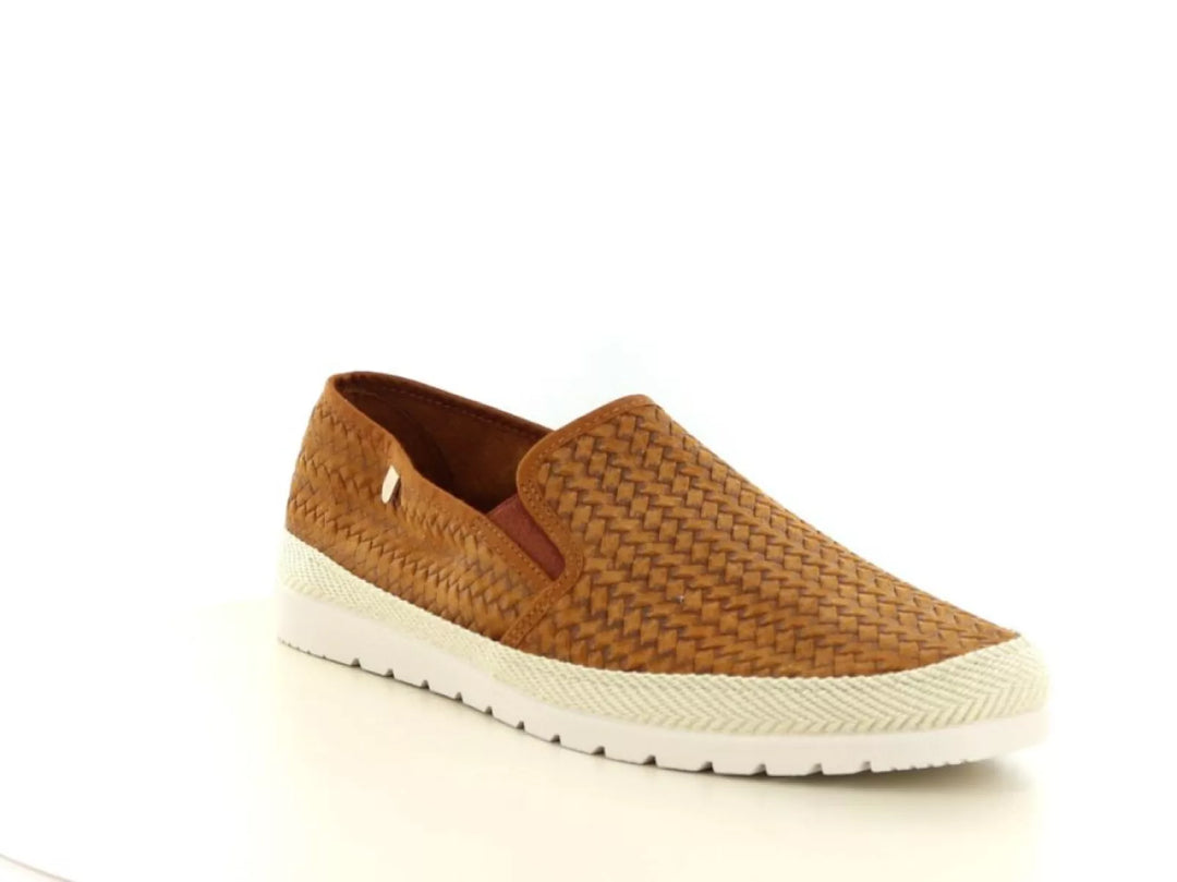 Verbenas Verbenas Boris