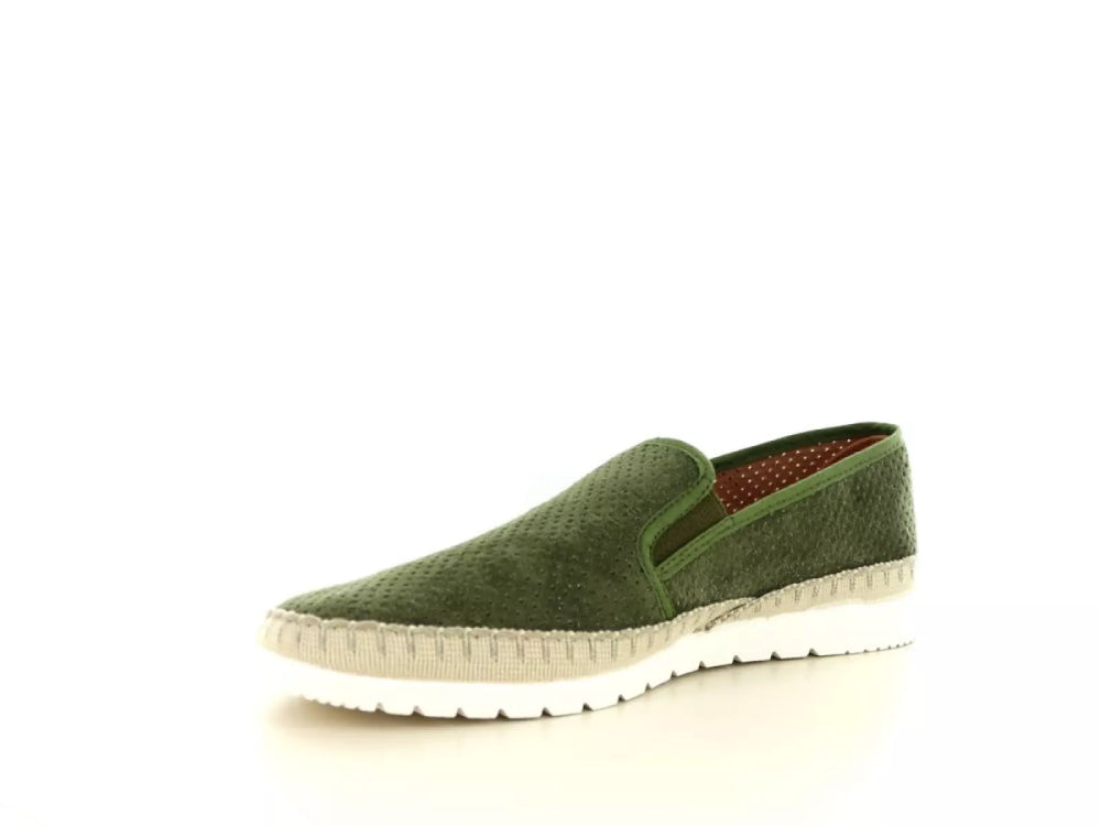 Verbenas Verbenas Boris