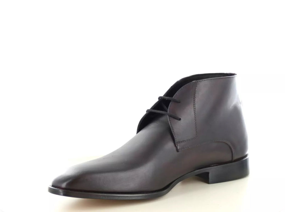 Molenaer Molenaer 59