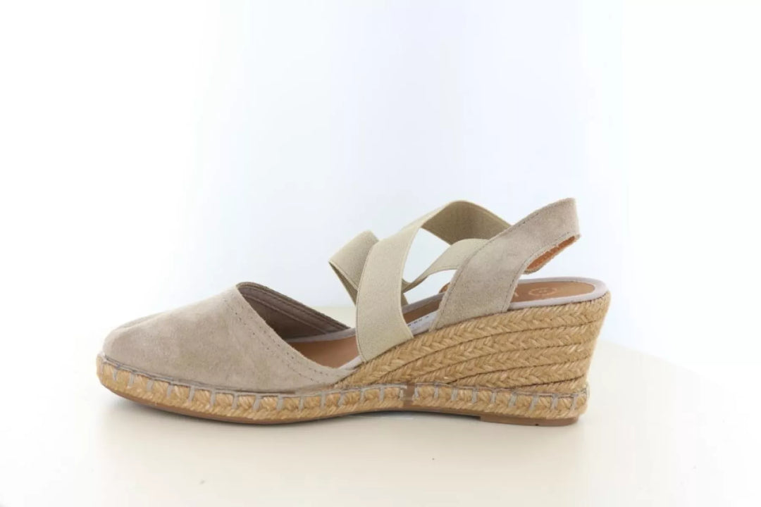 Verbenas Verbenas Mila