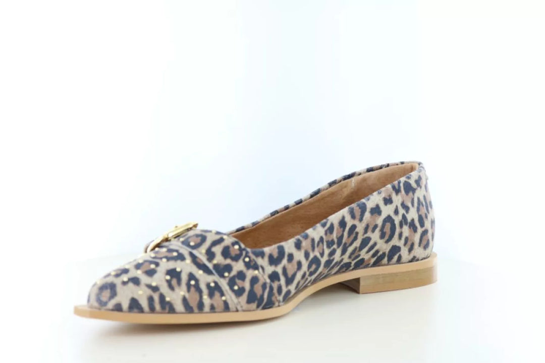 DWRS DWRS Port Vila Leopard