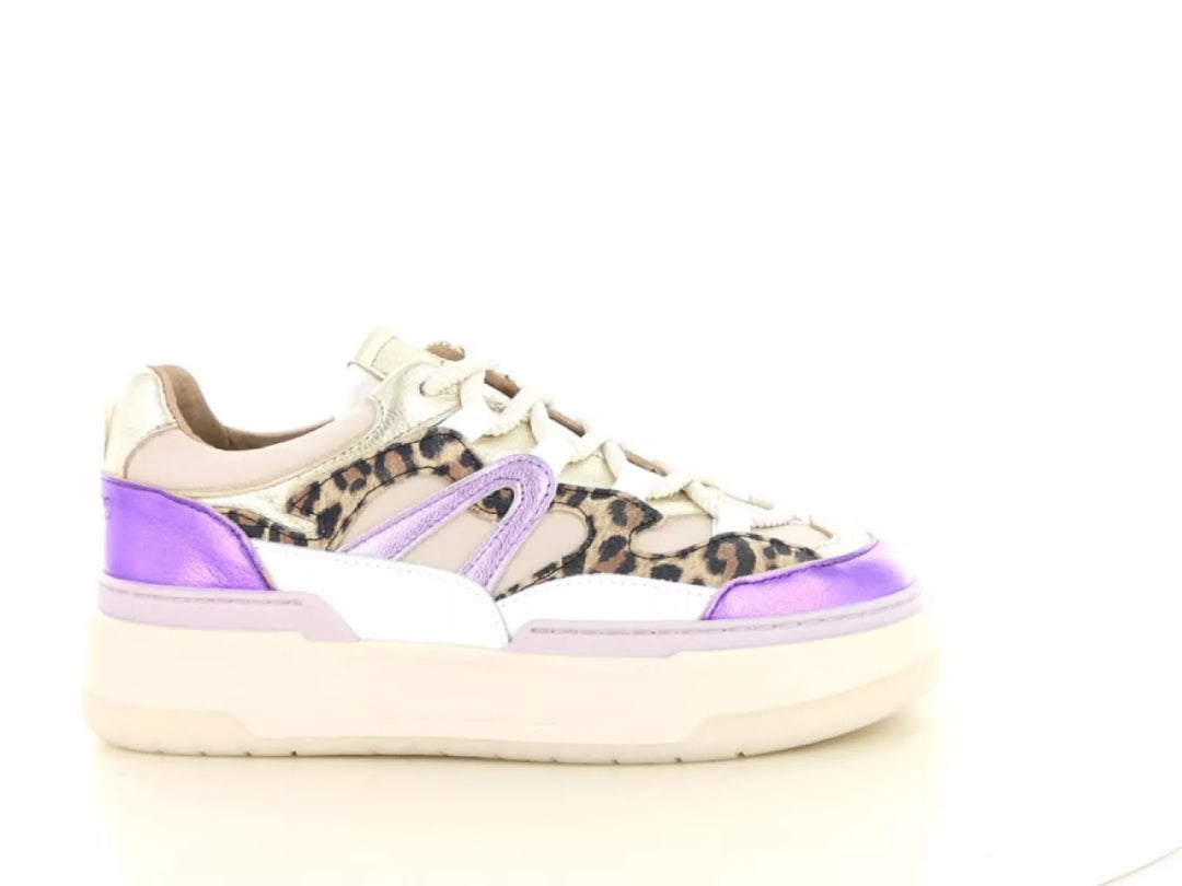 DWRS DWRS Walton leopard