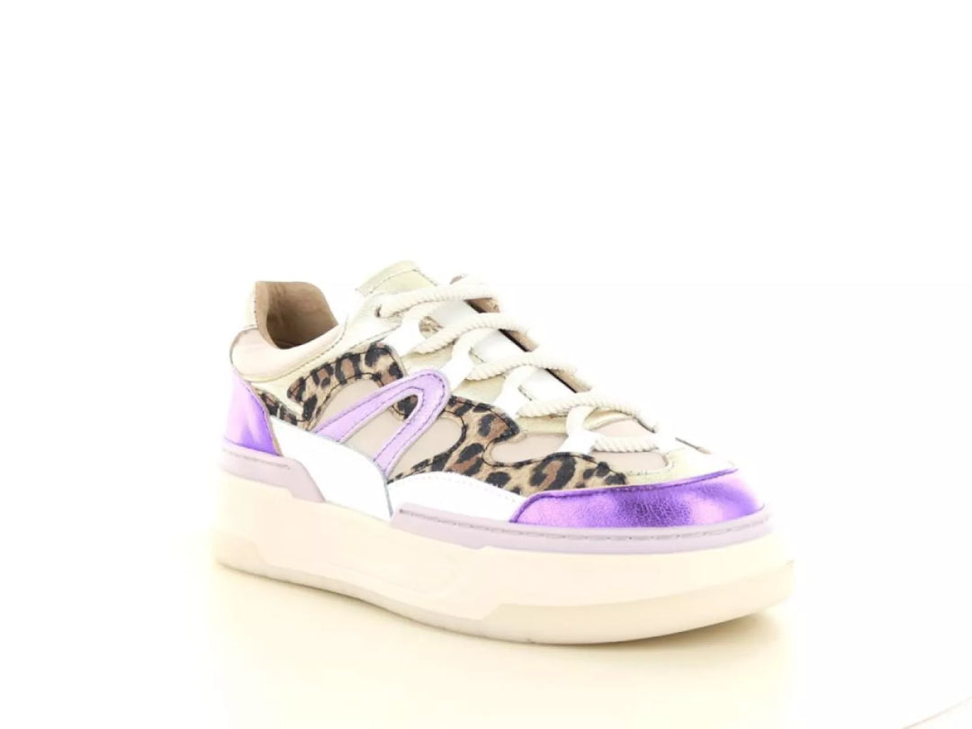 DWRS DWRS Walton leopard