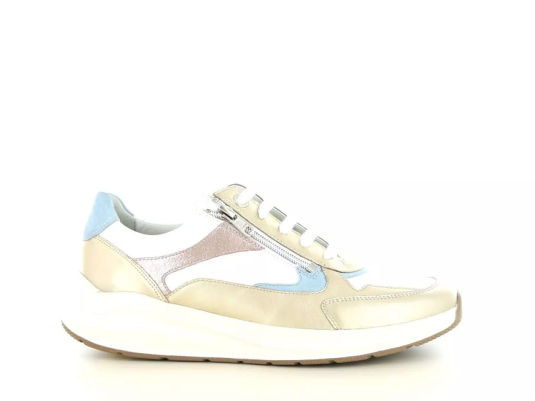 Solidus Solidus 54501 wijdte H/K