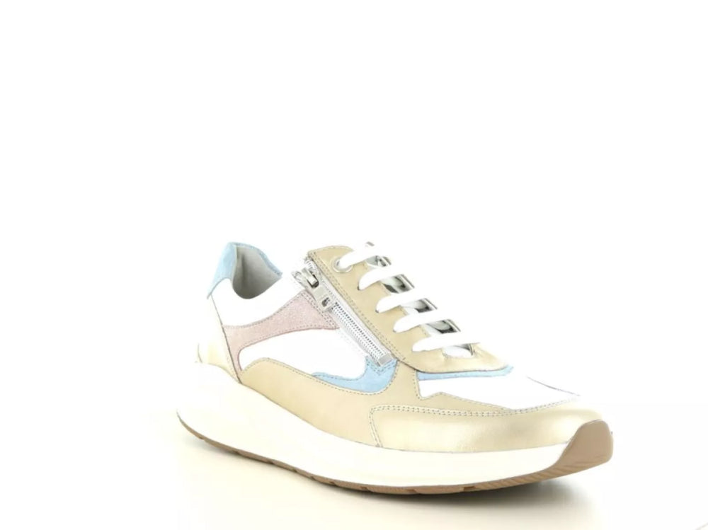 Solidus Solidus 54501 wijdte H/K