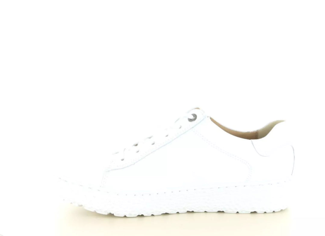 Hartjes Hartjes 162.1409 wijdte H