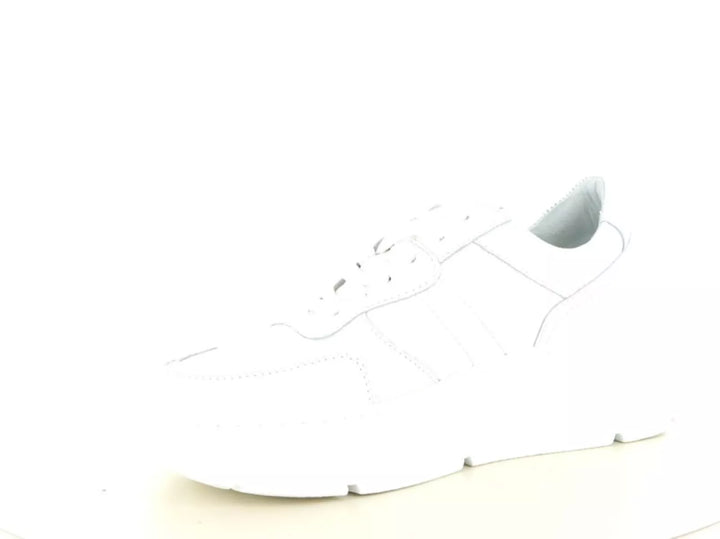 PS Poelman PS Poelman Jana 08