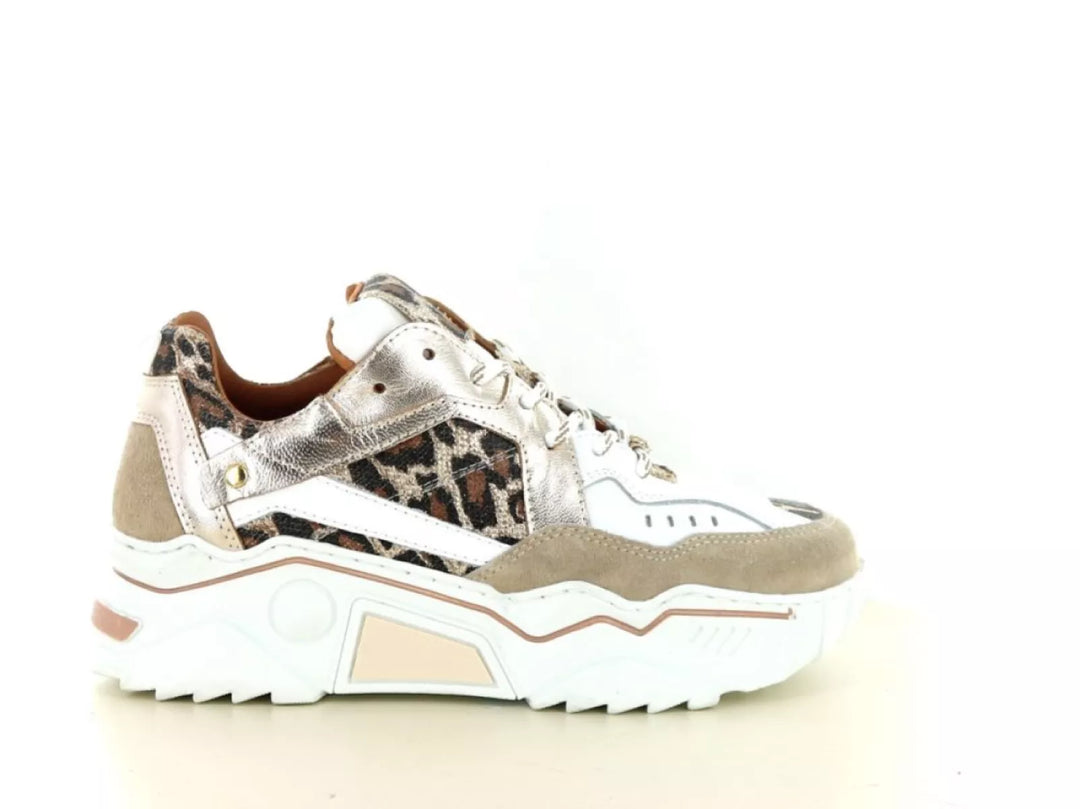DWRS DWRS Pluto Leopard