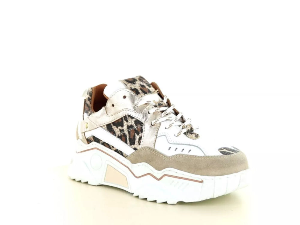 DWRS DWRS Pluto Leopard