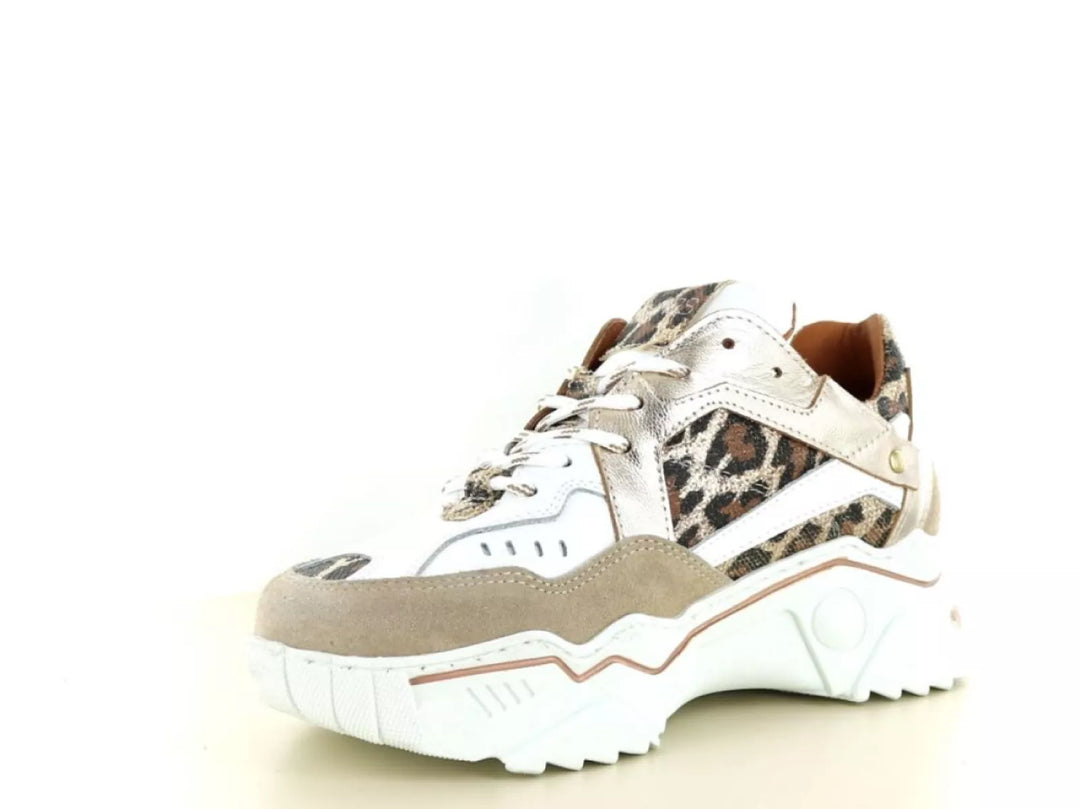 DWRS DWRS Pluto Leopard