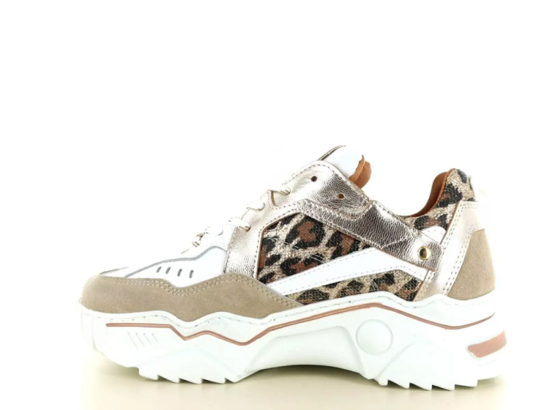 DWRS DWRS Pluto Leopard