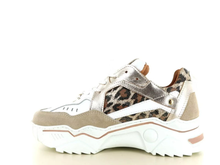 DWRS DWRS Pluto Leopard
