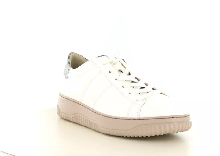 Hartjes Hartjes 162.1950 wijdte H