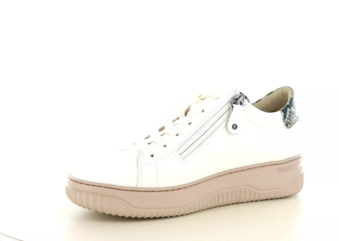 Hartjes Hartjes 162.1950 wijdte H