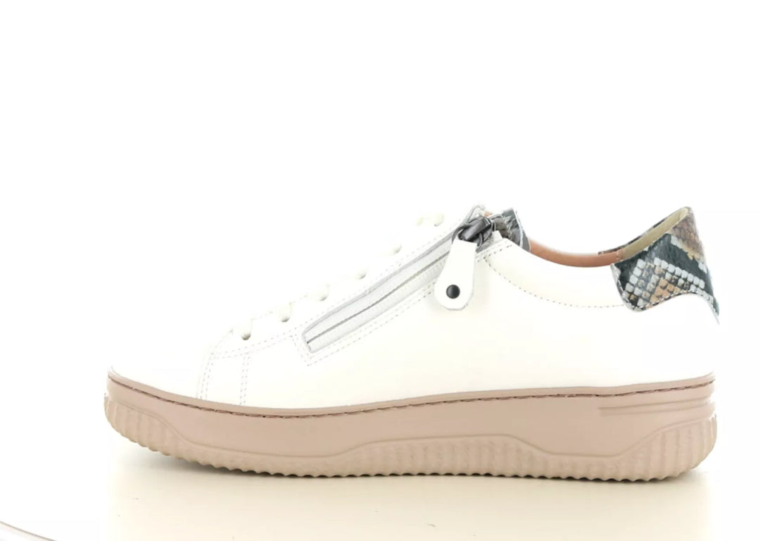 Hartjes Hartjes 162.1950 wijdte H