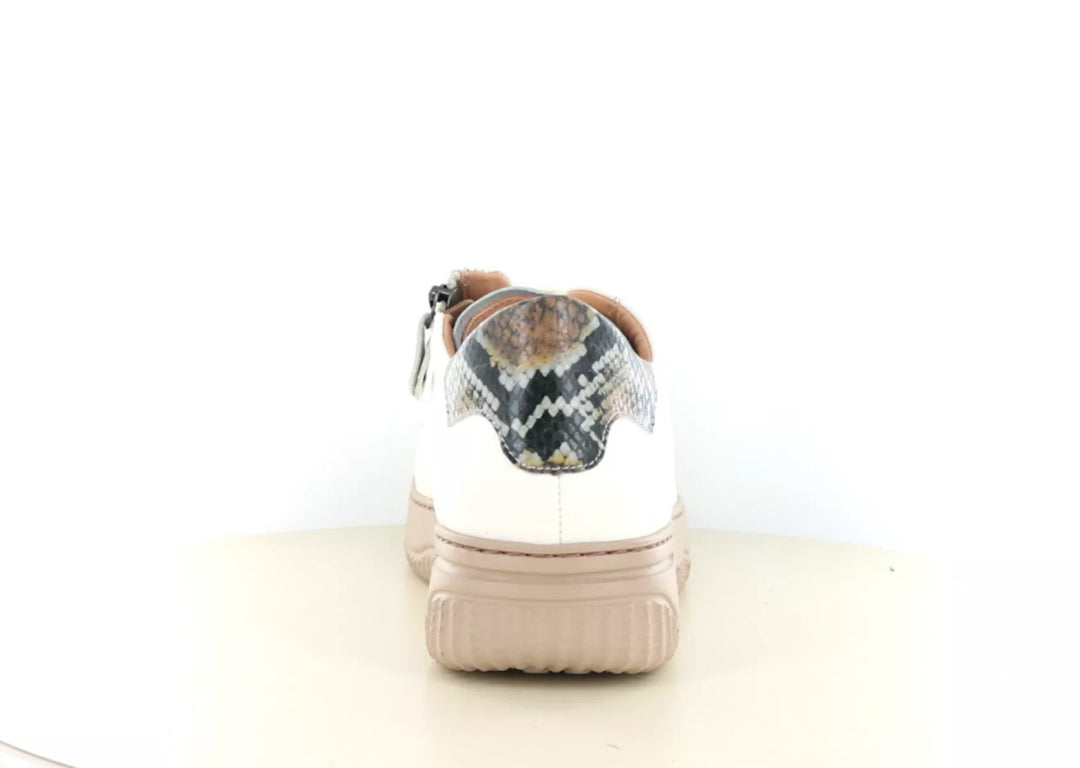 Hartjes Hartjes 162.1950 wijdte H