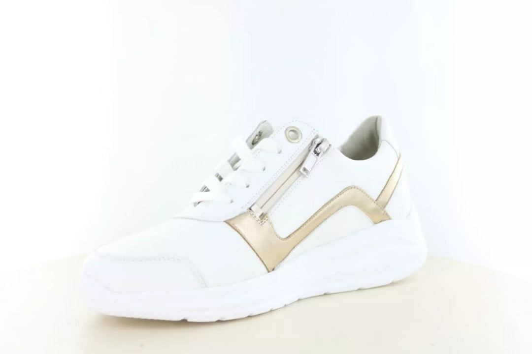 Solidus Solidus 54512 wijdte H/K