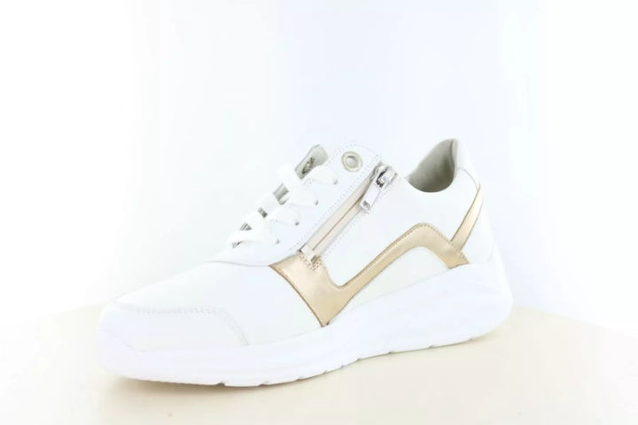 Solidus Solidus 54512 wijdte H/K