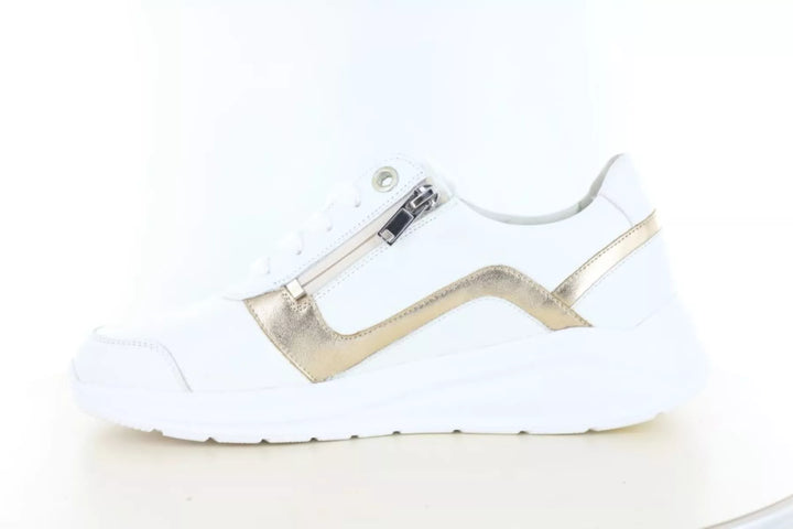 Solidus Solidus 54512 wijdte H/K