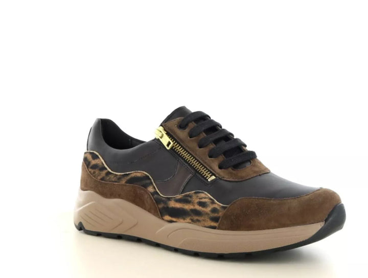 Solidus Solidus 66034 wijdte K