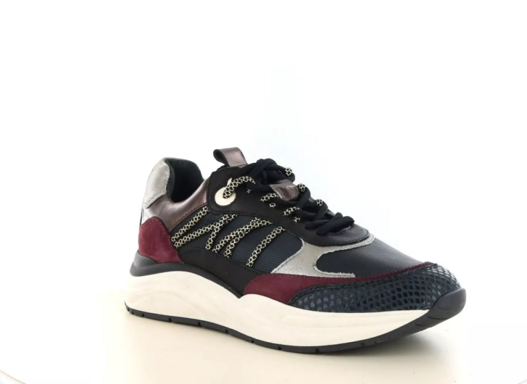 PS Poelman PS Poelman Charu 38