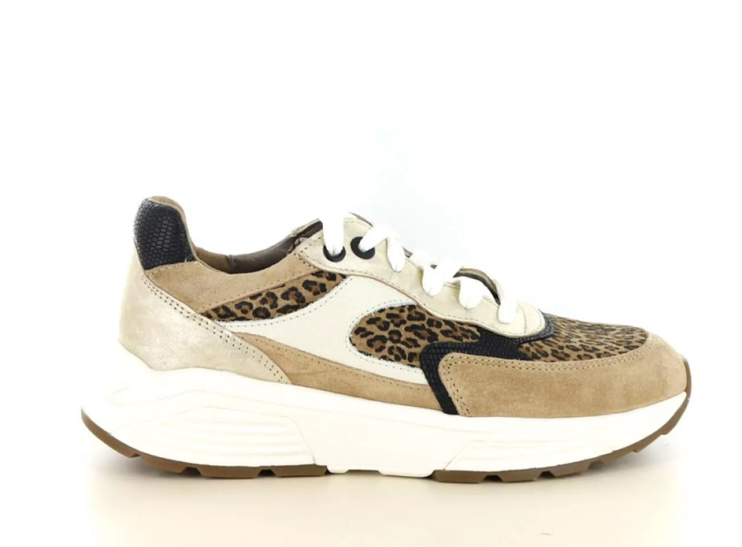 Xsensible Xsensible 33002.5 wijdte G 1/2