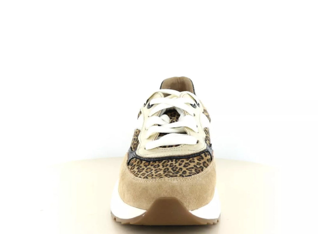 Xsensible Xsensible 33002.5 wijdte G 1/2