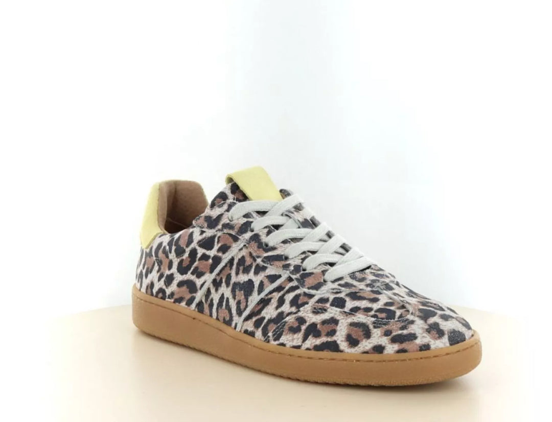 DWRS DWRS Poona Leopard