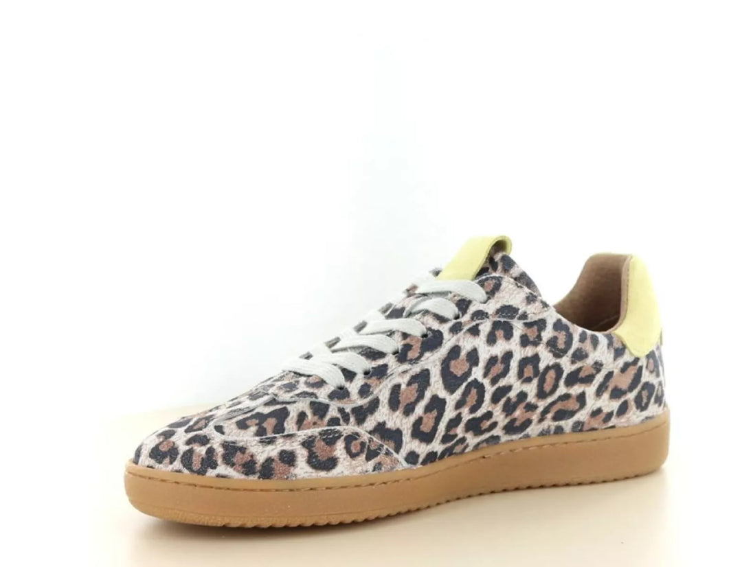 DWRS DWRS Poona Leopard