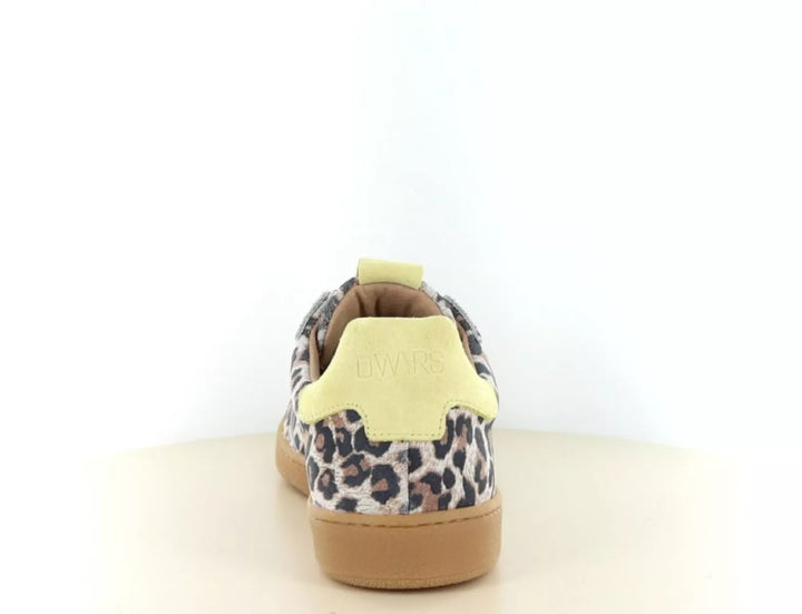 DWRS DWRS Poona Leopard