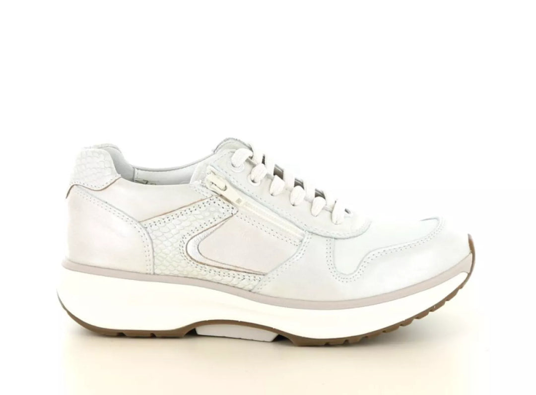 Xsensible Xsensible 30150.3 wijdte G