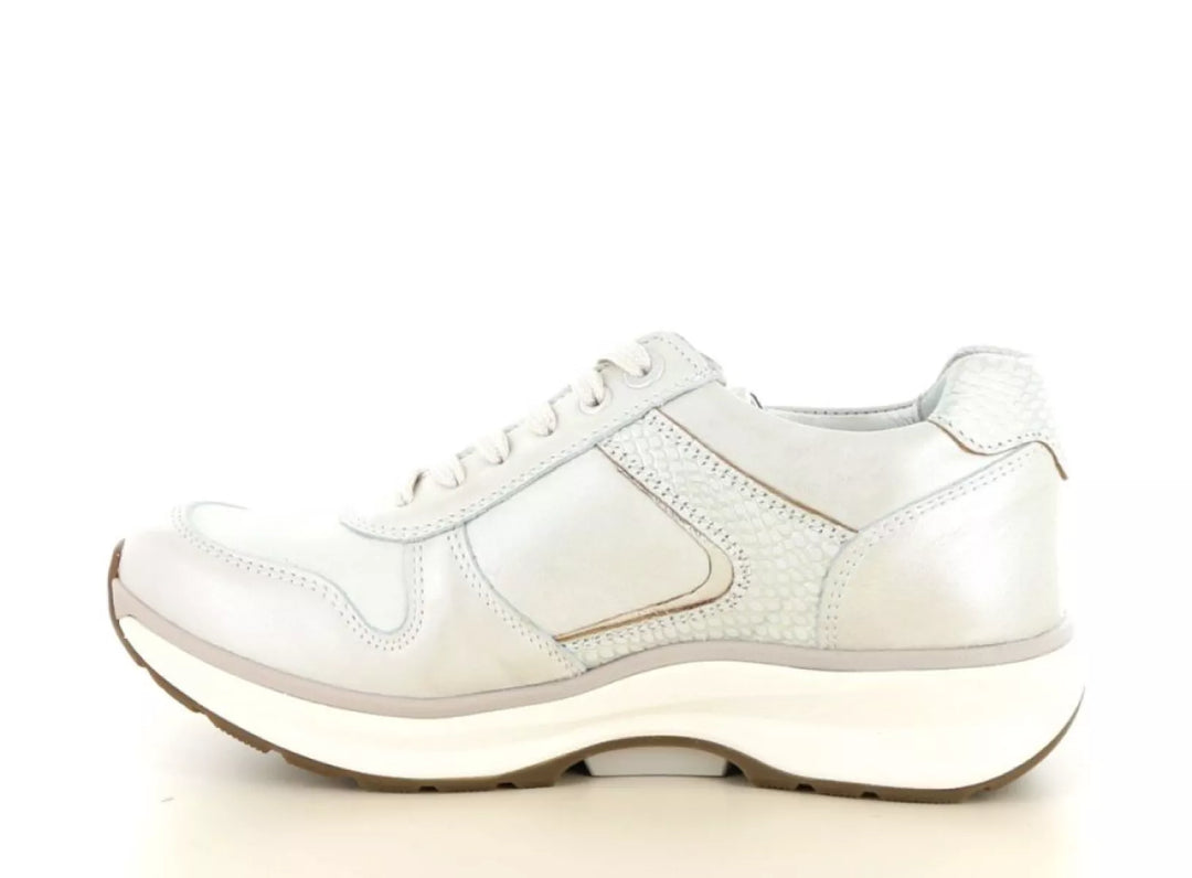 Xsensible Xsensible 30150.3 wijdte G