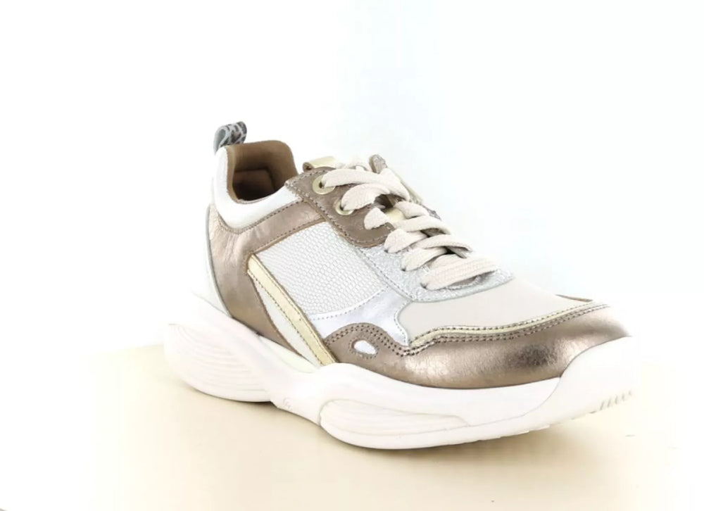 Xsensible Xsensible 32010.3 wijdte K