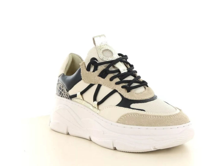 PS Poelman PS Poelman LP Jilly