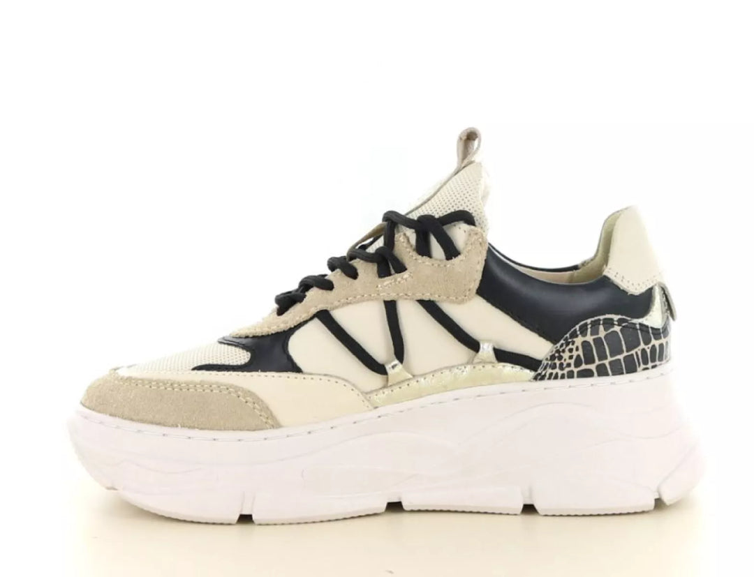 PS Poelman PS Poelman LP Jilly