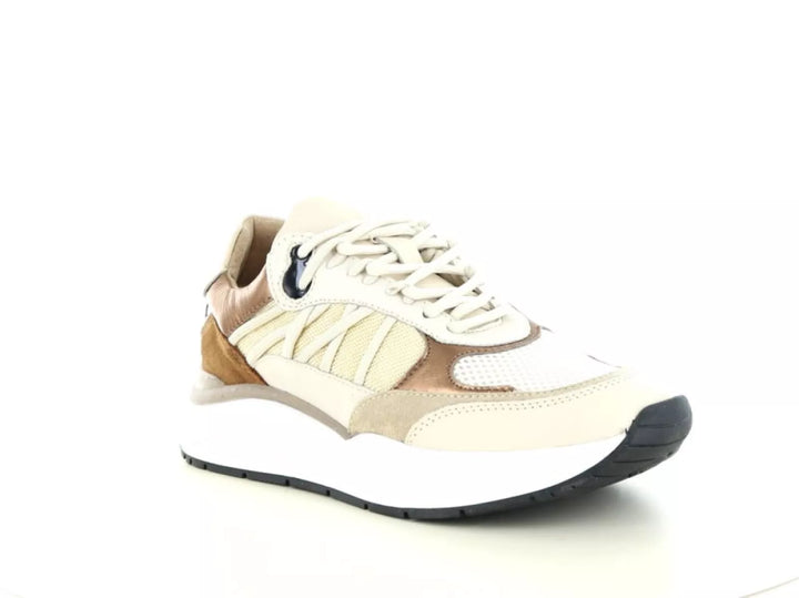 PS Poelman PS Poelman Charu 01