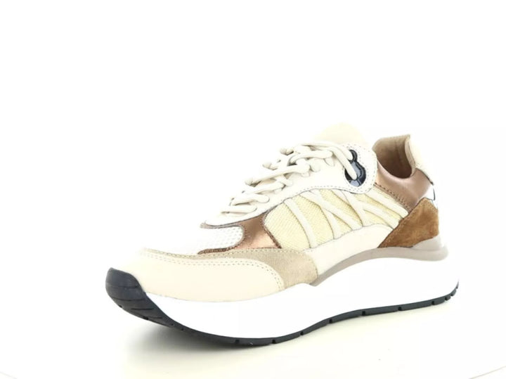 PS Poelman PS Poelman Charu 01