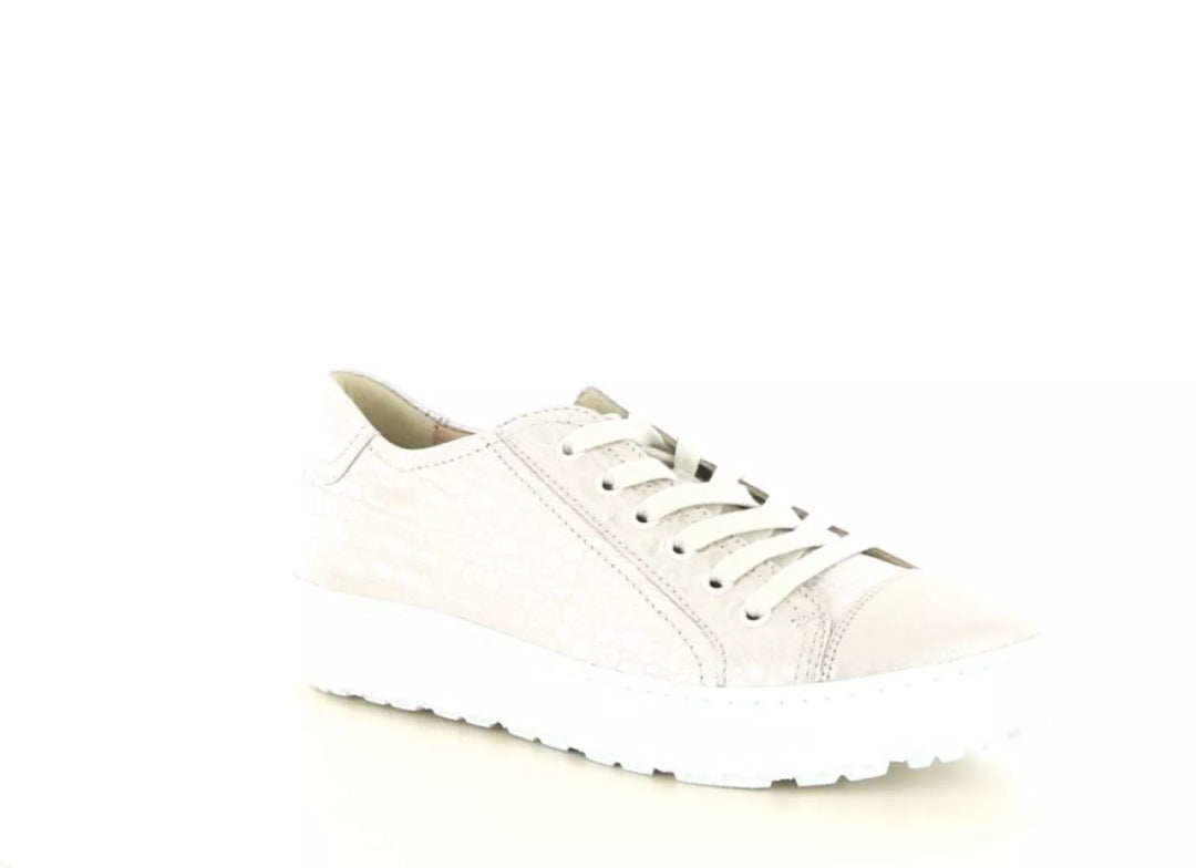 Hartjes Hartjes 162.1430 wijdte H